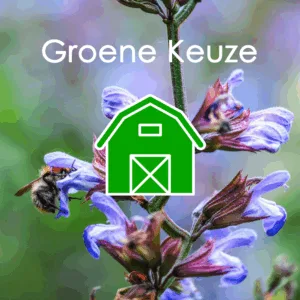 Groene Keuze info post vierkant